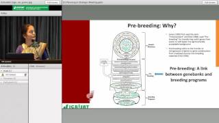 Prebreeding Accessing novel genes from wild species by Shivali Sharma [upl. by Ellenej]