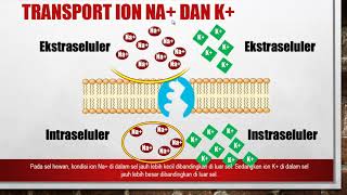 TRANSPORT AKTIF POMPA ION Na K POMPA PROTON KOTRANSPORT [upl. by Joelie]