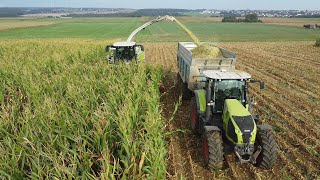 ENSILAGE DE MAÏS 2024  CLAAS JAGUAR 940  5 CLAAS  6 BENNES  ENSILAGE MÉTHANISATION [upl. by Jerrie]