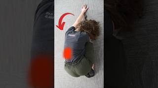 Quadratus Lumborum Relief in 60 Secs with A Side Bridge Exercise [upl. by Hultgren]