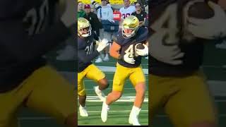 Stanford vs Notre Dame Game Highlights 2024 [upl. by Erusaert]