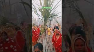 PATHRA BAZAR Chhath Puja  Siddharth Nagar Chhath Puja ka VIDEO  chhathpuja सिद्धार्थनगर जिला [upl. by Wenoa]