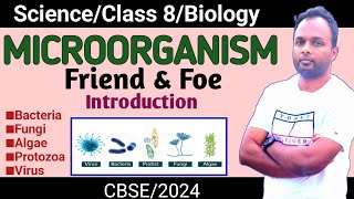 Microorganism Friend amp FoeClass 8ScienceBiologyCbseStudy In Depth [upl. by Acinahs20]