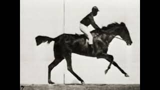 The Horse in Motion by Eadweard Muybridge 1878 Sallie Gardner at a Gallop Precinema Before Film [upl. by Ganiats224]