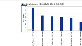 Examining My Pathways results using QIAGEN IPA [upl. by Eidod43]