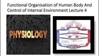 Chapter 1 Guyton and Hall Physiology Lecture 4 [upl. by Sorensen725]