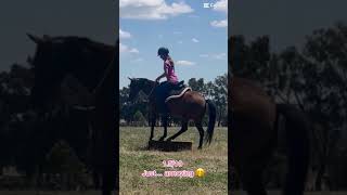 old edition ✨🐴 fails horse fyp shorts funny horseriding [upl. by Adnauqahs]