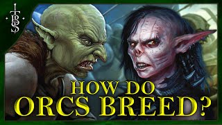 How Do ORCS Breed  Lord of the Rings Lore [upl. by Mellette]