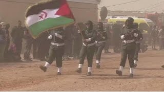 Polisario Front hopes Morocco meets its commitments [upl. by Dotty]