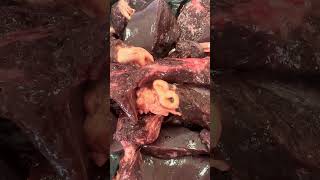 Fasciola hepática en canalículos biliares 🐮 medicinaveterinaria veterinaria [upl. by Noirod]