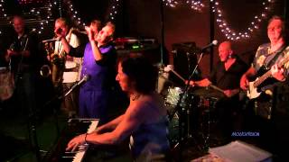 The Love Dogs Live  Acton Jazz Cafe 62213 [upl. by Sallad]