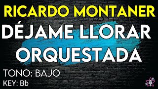 Ricardo Montaner  Déjame Llorar Orquestado  Karaoke Instrumental  Tono Bajo [upl. by Luckett]