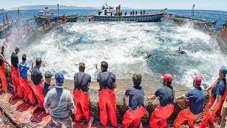 Everyone should watch this Fishermens video  Big Catch Hundreds Tons Fish With Modern Big Boat [upl. by Yllod]