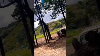 A Day in Pachmarhi The Queen of Satpura shorts short travel pachmarhi travely93vlogs hills [upl. by Rann]