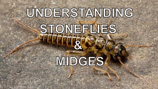 Understanding Stoneflies amp Midges with Tom Rosenbauer [upl. by Clint]