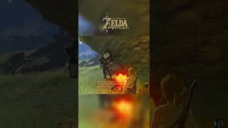 botw  12 zelda breathofthewild nintendo laleyendadezelda tearsofthekingdom nintendoswitch [upl. by Justen]