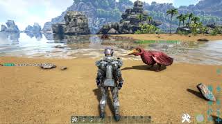 How to spawn a pelagornis and the saddle [upl. by Ymassej]