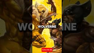 Sabretooth and Wolverine Rivalry Explained [upl. by Nee931]