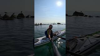 Sea Kayaking 🔴 3 I gabbiani di Porto Recanati 🔴 Day 8 [upl. by Atoiganap]