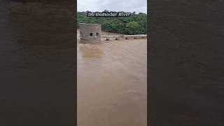 Damodar River Overfull Water From Jharkhand djdabluofficial youtube shorts [upl. by Notyap]