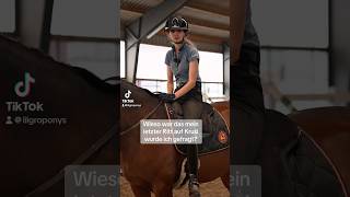 Ganzes Video zum „Ohne Sattel reiten“ auf meinem Kanal🙋🏼‍♀️ Freue mich auf euch🥰🐴 [upl. by Aitak]