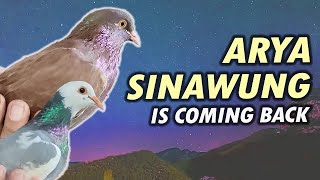 ARYA SINAWUNG IS COMING BACK DALAM GEMBLENGAN MILITER merpatikolong trending viralvideo [upl. by Gerkman748]