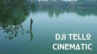 BEST CINEMATIC FOOTAGE DJI TELLO [upl. by Licastro]