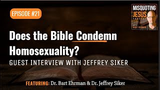 Does the Bible Condemn Homosexuality Guest Interview with Jeffrey Siker [upl. by Cruce]