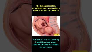 Embryonic Development In Mothers Womb at 24 Week👶❤ baby Doing Growth every hours in Moms Belly 👩 [upl. by Croteau131]