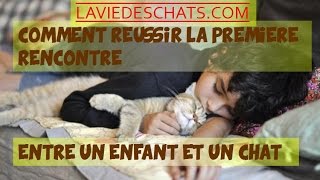 Comment réussir la rencontre entre un chat et un jeune enfant [upl. by Lasyrc]