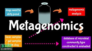 Metagenome  Metagenomics  Metagenomics Workflow [upl. by Kathryn]