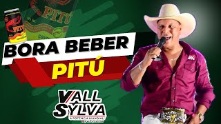 BORA BEBER PITÚ  DVD VALL SYLVA [upl. by Okemak420]