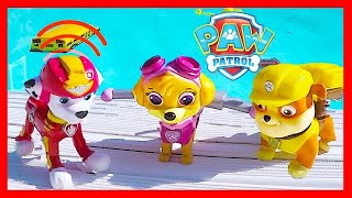 Paw Patrol Swimming CHALLENGE GAME  Ellie Jr [upl. by Tingley842]