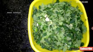 MURUNGAI KEERAI PORIYAL RECIPE IN TAMIL  5 MINUTES RECIPE [upl. by Feola]