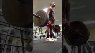 Raw Deadlift 405 lb × 22 pause reps Deadstops No belt bodyweight 217 lbs PR [upl. by Losse]