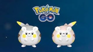 Togedemaru Spotlight Hour [upl. by Phaedra]