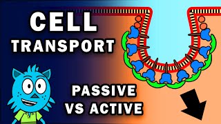 CELL TRANSPORT PASSIVE AND ACTIVE [upl. by Acinorej571]