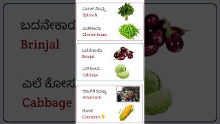 Vegetables Name In Kannada vegetablenamesinkannada spokenenglishinkannada viral shorts [upl. by Bonnibelle351]