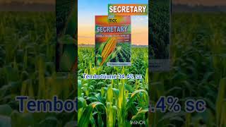 Mac Secretary farming maize Herbicide Tembotrione 344 SC [upl. by Sitnik962]