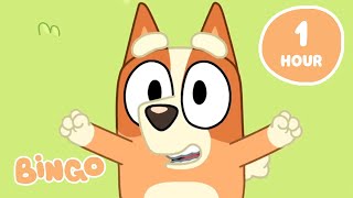 🔴LIVE Lets Have Fun with Bingo 🧡  Playtime with Bluey and Bingo  Bingo [upl. by Frech87]