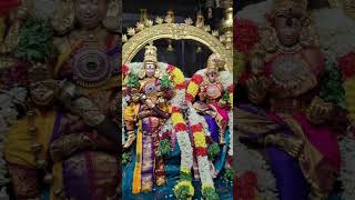 Madurai meenakshi Amman  🙏🙏🙏🙏🙏🙏🙏 [upl. by Mccowyn]