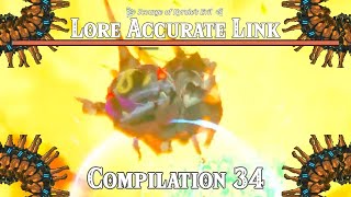 The Scourge of Hyrules Evil Lore Accurate Link Compilation 34 [upl. by Aneehs]