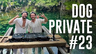 Dubdogz  DOGPRIVATE 23 Cenote Tulum [upl. by Rese254]