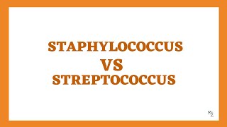 Staphylococcus VS Streptococcus 5 Major Differences to Memorize 💡 [upl. by Stevens]