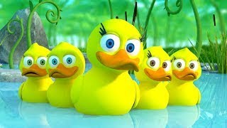 5 Little Ducks song  Newborn Baby Songs amp Nursery Rhymes [upl. by Caty]