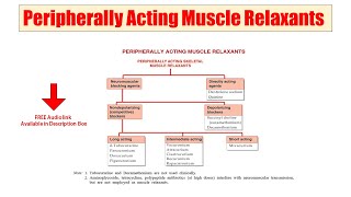 25 Peripherally Acting Muscle Relaxant  Skeletal Muscle Relaxants  Audio Classification of Drugs [upl. by Eugine777]