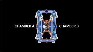 Wilden®  How AirOperated DoubleDiaphragm AODD Pumps Work [upl. by Beghtol]