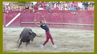 ARGUEDAS  NAVARRA  TARDE VACAS EN PLAZA  DOMINGO 6 AGOSTO 2023  GANADALFREDO IÑIGUEZ [upl. by Rossuck688]