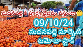 091024 Madanapalle Tomato Market price Today  Today Tomato Market Rate in Madanapalle today [upl. by Donia48]