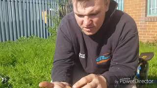 Peeler crab full tutorial while urban sea fishing on the river medway [upl. by Enelram]